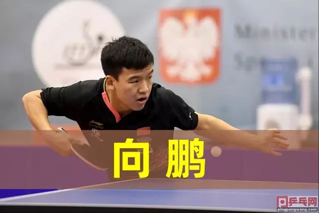 实力的提升 实力的提升