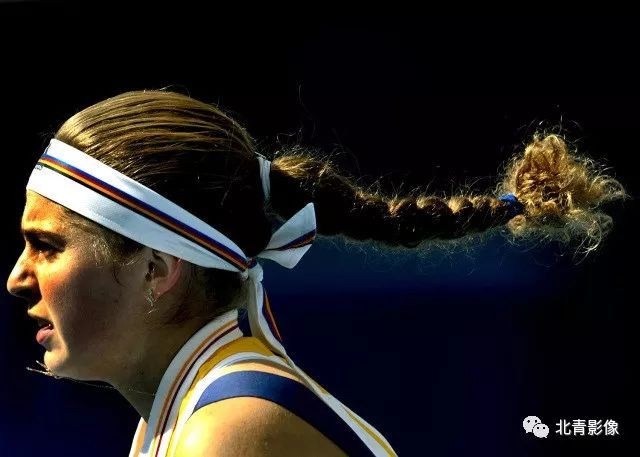 净值曲线由 净值曲线由