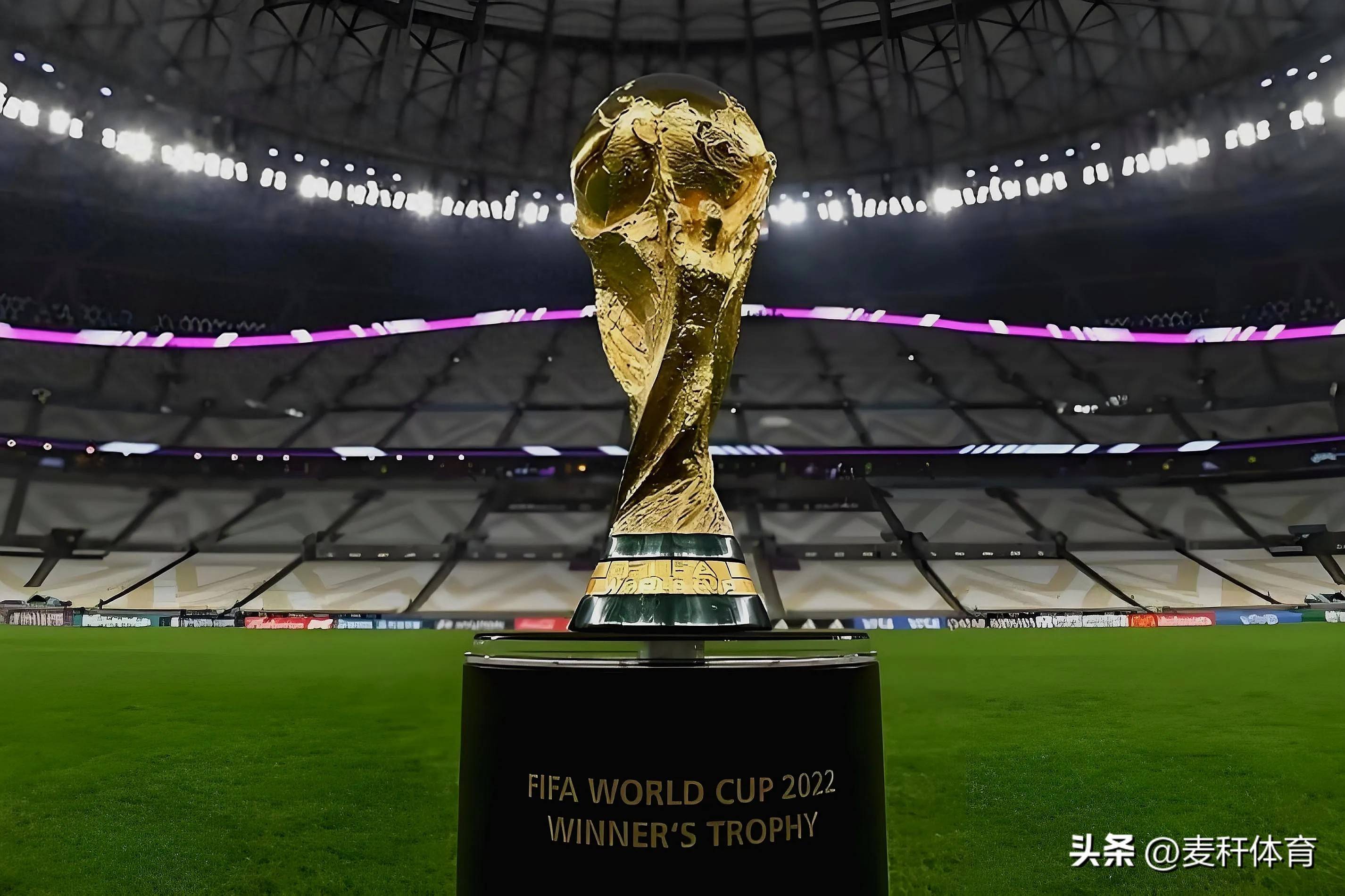 案例观察 案例观察